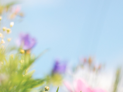 Spring Time Sleep Tips