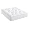 Durabeds Asteria Heritage 6000 Platinum Mattress