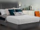 Sweet Dreams Teagan Memory Mattress